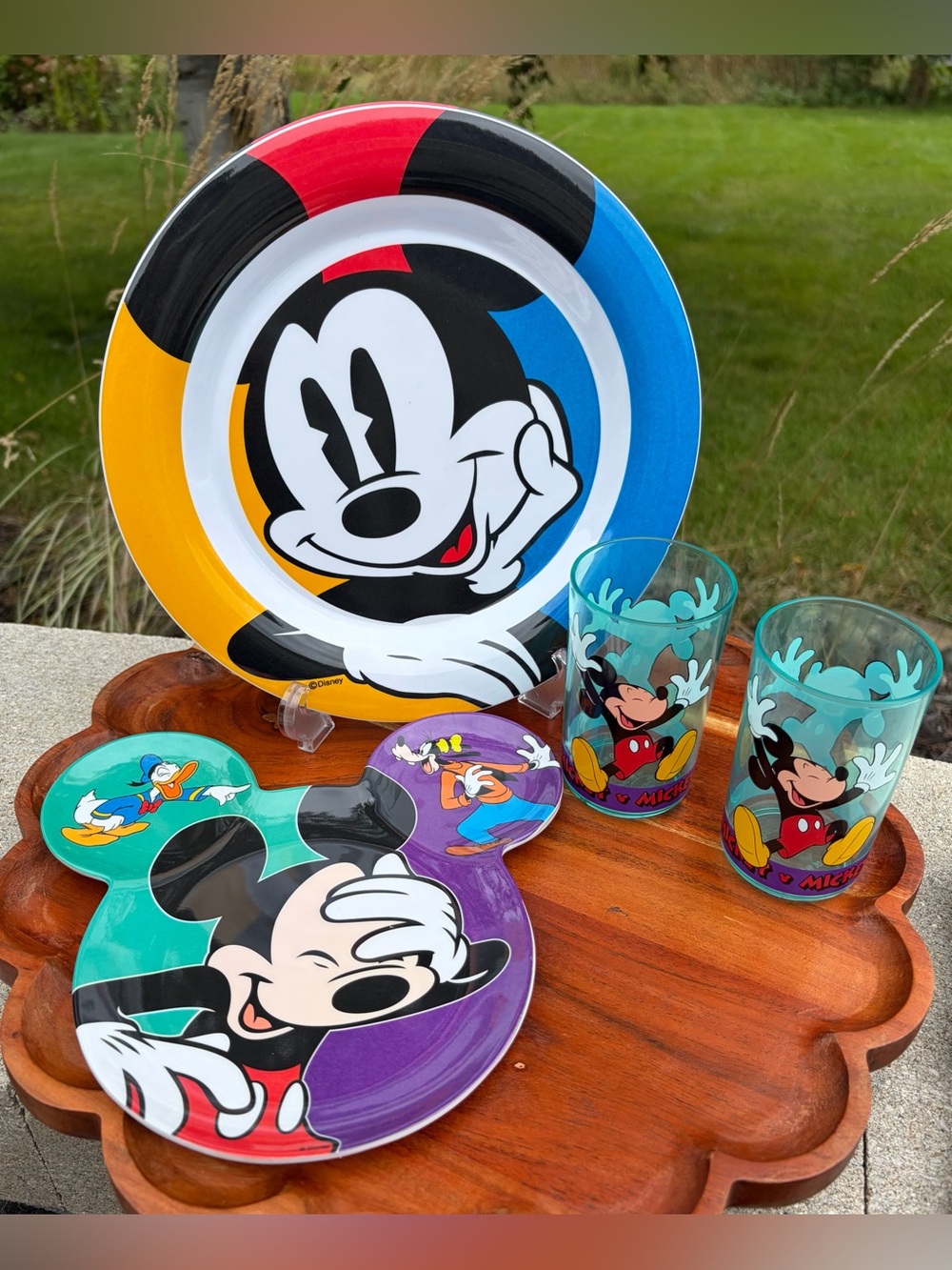 Disney Mickey Mouse Vintage Tableware Salandia Plates Zak! Plates Tumblers NWOT